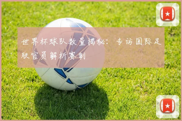 世界杯球队数量揭秘:专访国际足联官员解析赛制