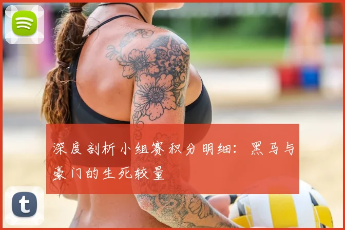 深度剖析小组赛积分明细：黑马与豪门的生死较量