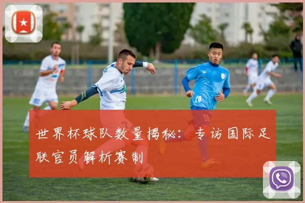 世界杯球队数量揭秘:专访国际足联官员解析赛制