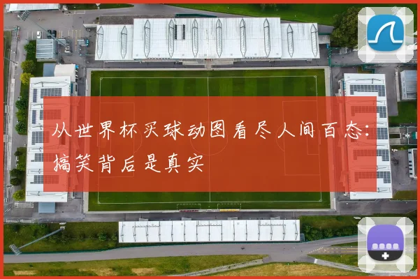 从世界杯买球动图看尽人间百态：搞笑背后是真实