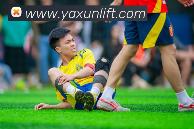 欧宝最新官网APP 封面图